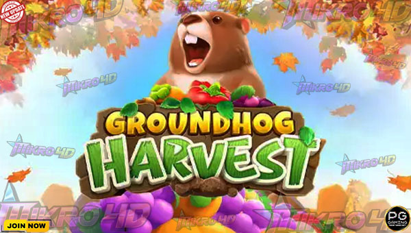 Groundhog Harvest: Petualangan Seru dan Jackpot Berlimpah di Dunia Pertanian!